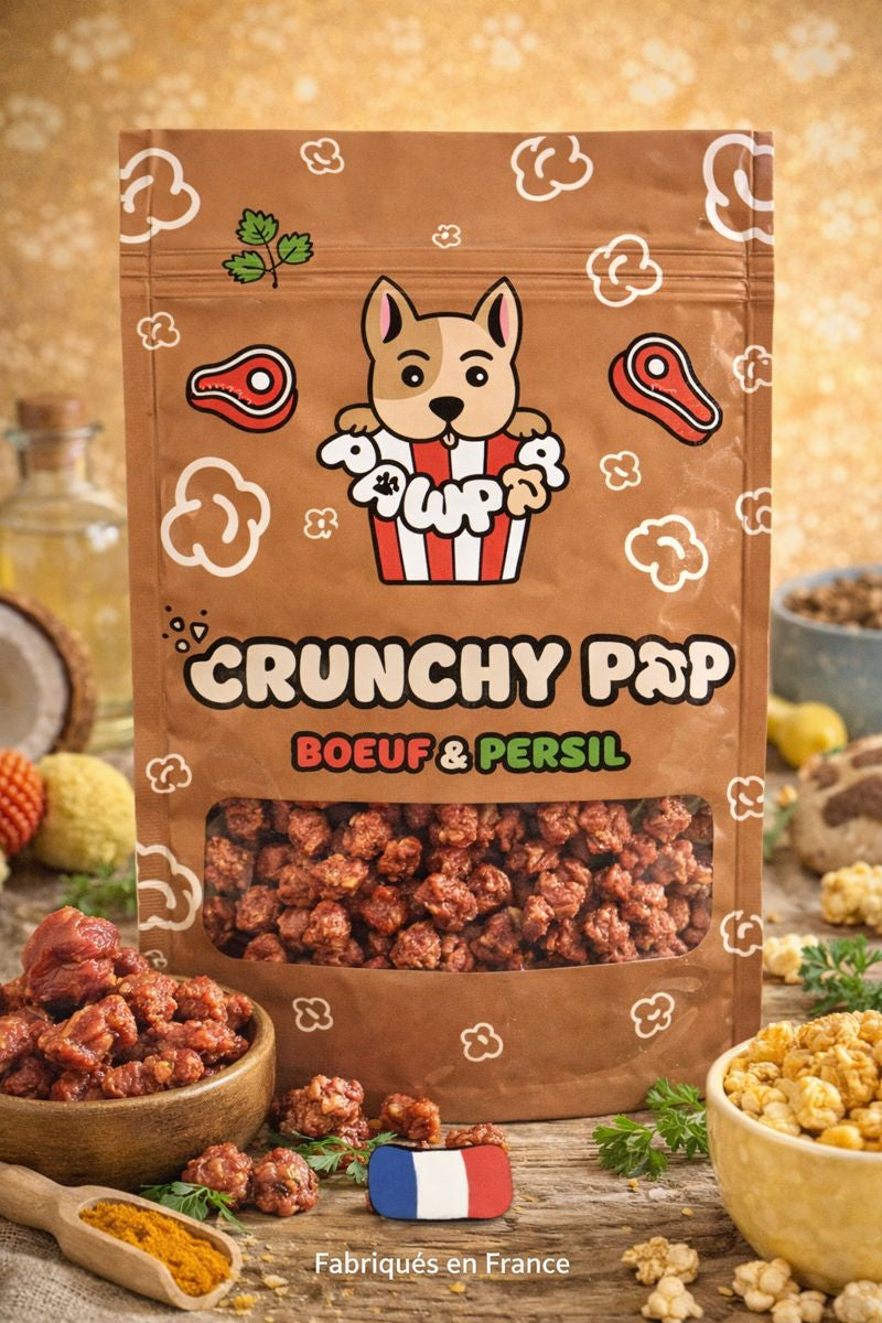 Crunchy Pop - Bœuf & Persil